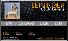Leininger Club Lambs